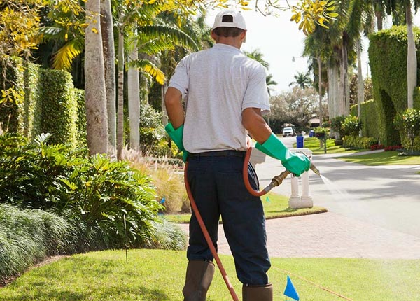 About Rochester MI Pest Control